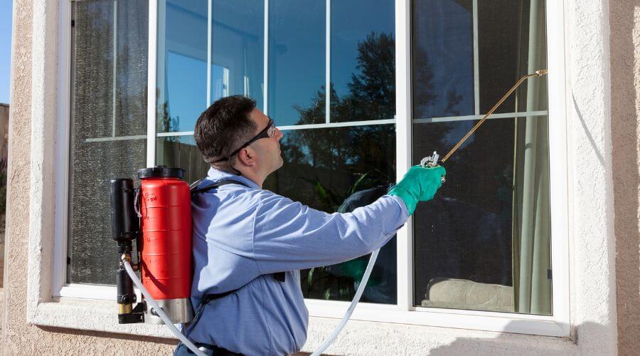 Professional commercial pest control services in Pueblo